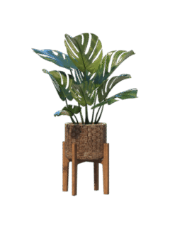 shop-lifestyle-bg-05