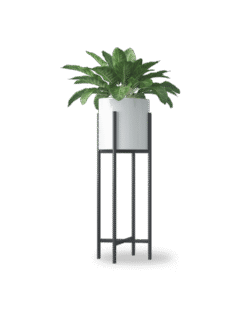 shop-lifestyle-bg-15